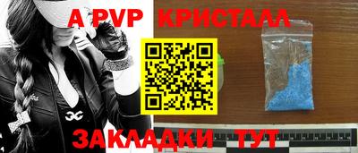 крисы Кулебаки